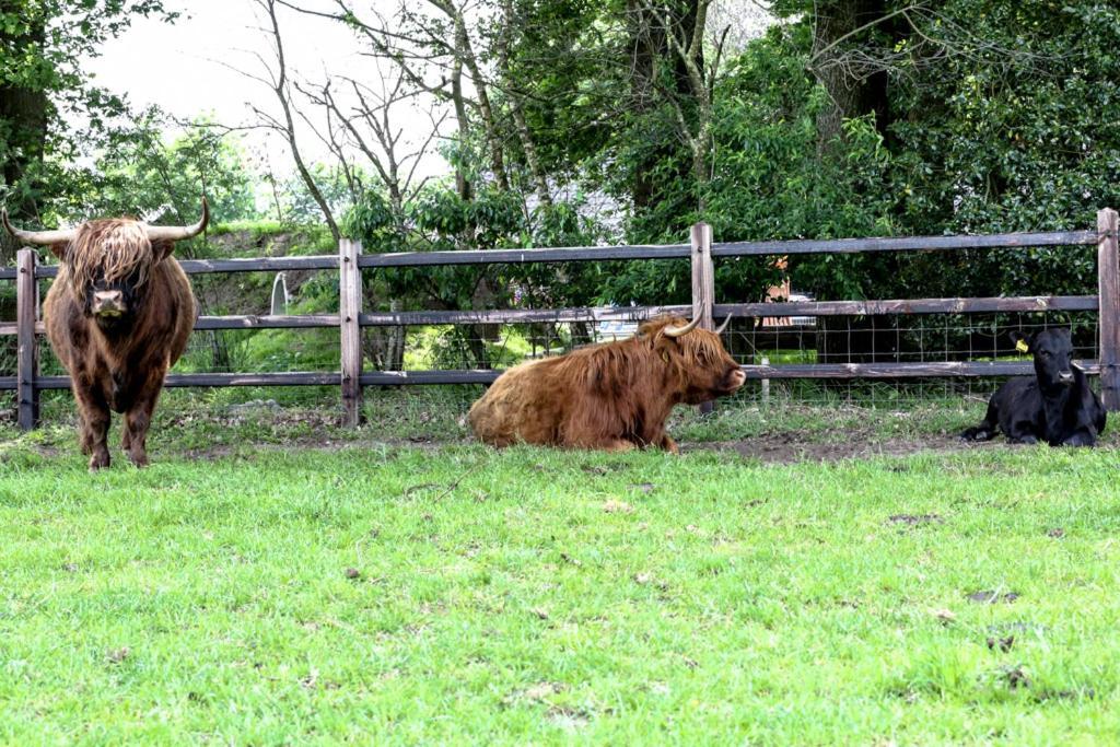 De Wijnlodge Kootwijkerbroek エクステリア 写真